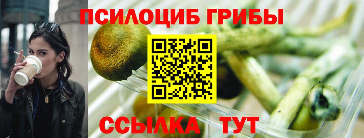 Галлюциногенные грибы Cubensis Чита